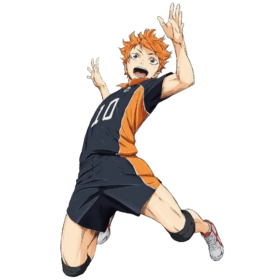 Shoyo Hinata apperance